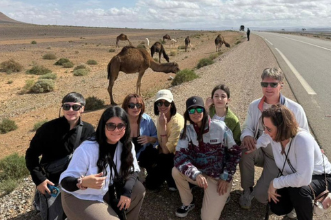 From Marrakech: 3-Day Merzouga Tour with Camel Trek & Luxury Camp Shared Standard Sahara Tour – Popular Choice