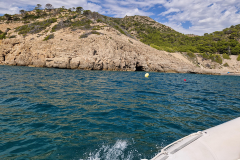 Salou: Boat ride and visit to the sea wolf cave. Salou: Boat ride and visit to the sea lion cave.