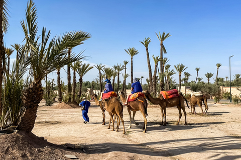 Marrakech : balade en chameau à la palmeraieMarrakech : balade en chameau de 3 h à la palmeraie