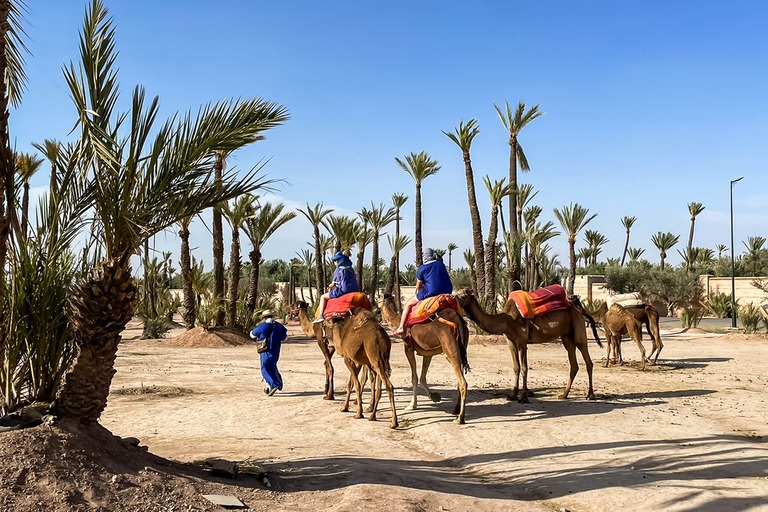 Marrakech : balade en chameau à la palmeraieMarrakech : balade en chameau de 3 h à la palmeraie