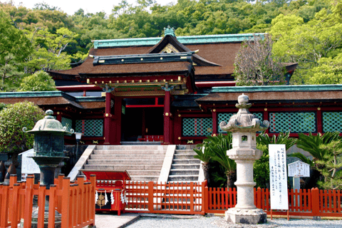 Osaka/Kyoto: Mount Koya &amp; Wakayama Privat dagsutflykt med guideRundresa från Osaka