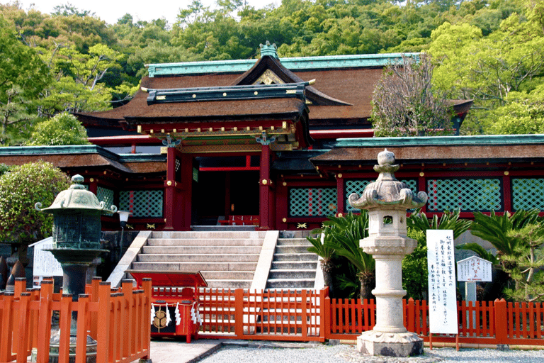 Osaka/Kyoto: Mount Koya &amp; Wakayama Privat dagsutflykt med guideRundresa från Osaka