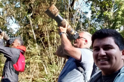 Santa Marta: Sierra Nevada Birdwatching Tour with Snack