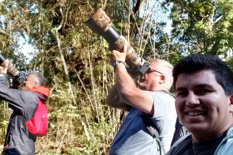 Santa Marta: Sierra Nevada Birdwatching Tour with Snack