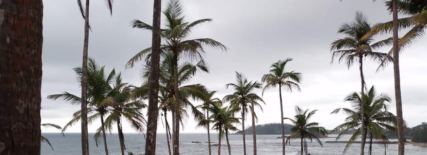 Journée d'observation des baleines à Mirissa