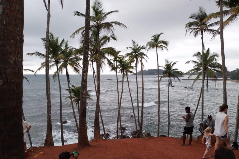 Journée d'observation des baleines à Mirissa