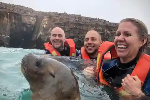 Desde Lima: Excursión en lancha rápida a las Islas Palomino y baño con leones marinos