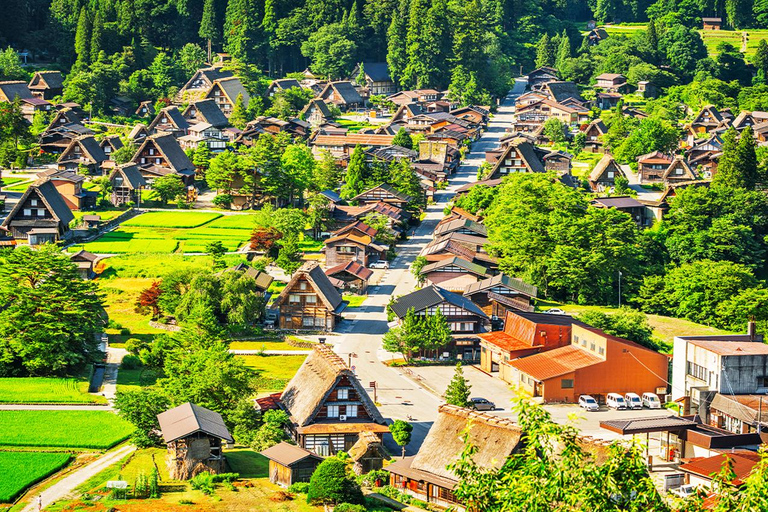 Excursion d&#039;une journée de Nagoya à Hida Takayama et au village de Shirakawa-go