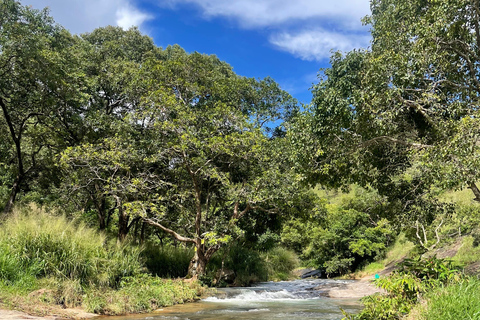 From Galle/Mirissa/Weligama: Private Waterfall Hunt to Ella