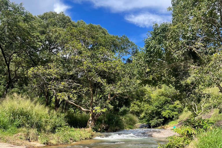 From Galle/Mirissa/Weligama: Private Waterfall Hunt to Ella