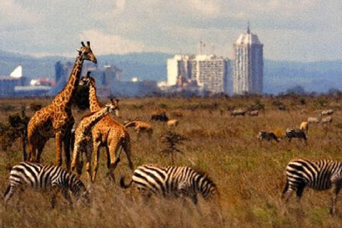 Medio día Parque Nacional de Nairobi, Karen Blixen, Centro de las Jirafas