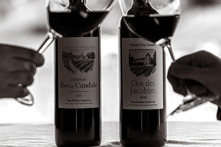 Saint-Émilion: Vineyard Tour and Wine Tasting