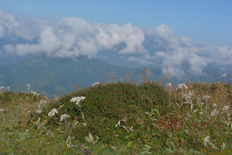 Bagdogra: Sandakphu & Phalut Trek with Meals & Guide