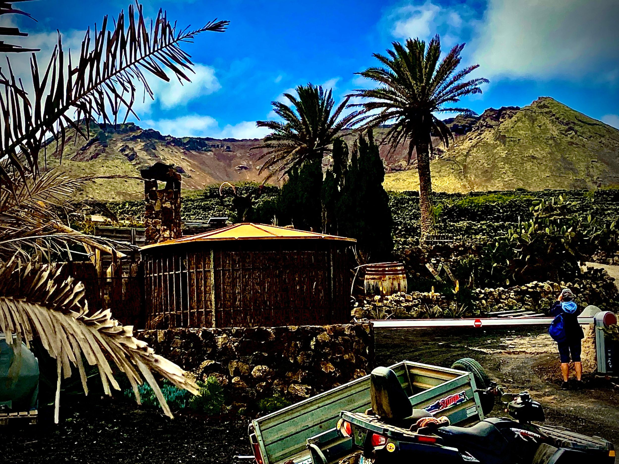 Geführter Ausflug zum Geburtshaus von Cesar Manrique Haria Lanzarote
