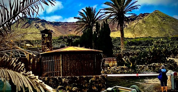 Guided excursion to the hometown of Cesar Manrique Haria Lanzarote