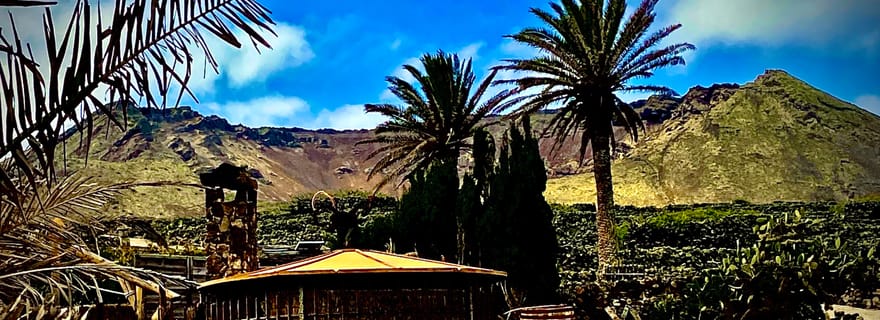 Excursion guidée à la maison natale de César Manrique Haria Lanzarote