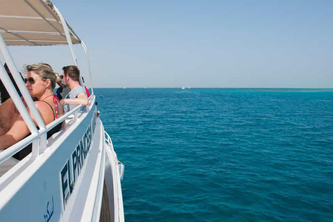 Hurghada: Excursão de mergulho com golfinhos e recifes de coral com almoçoPasseio de barco para observação de golfinhos com snorkeling e almoço