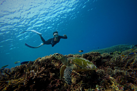 Desde Nusa Penida: Excursión de snorkel en 3 puntos con mantarrayas