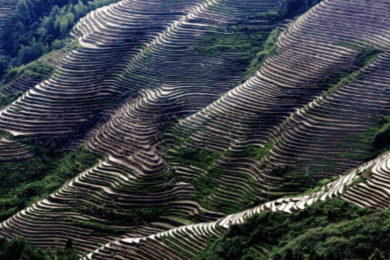 Guilin: Longji Rice Terraces & Yao Village Day Trip
