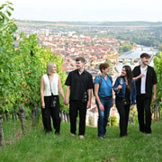 Würzburg: Vineyard Tour Including Wine Cellar, 5 Wine Tastings and Pastries