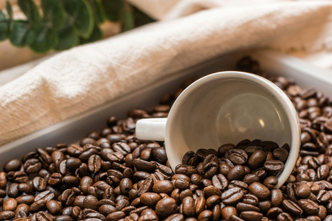 Top 10 South Beach Highlights Tour - Lincoln Road & Espanola