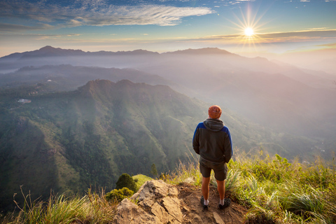 3-Day Private Tour: Sigiriya, Dambulla, Ella With Train Tour