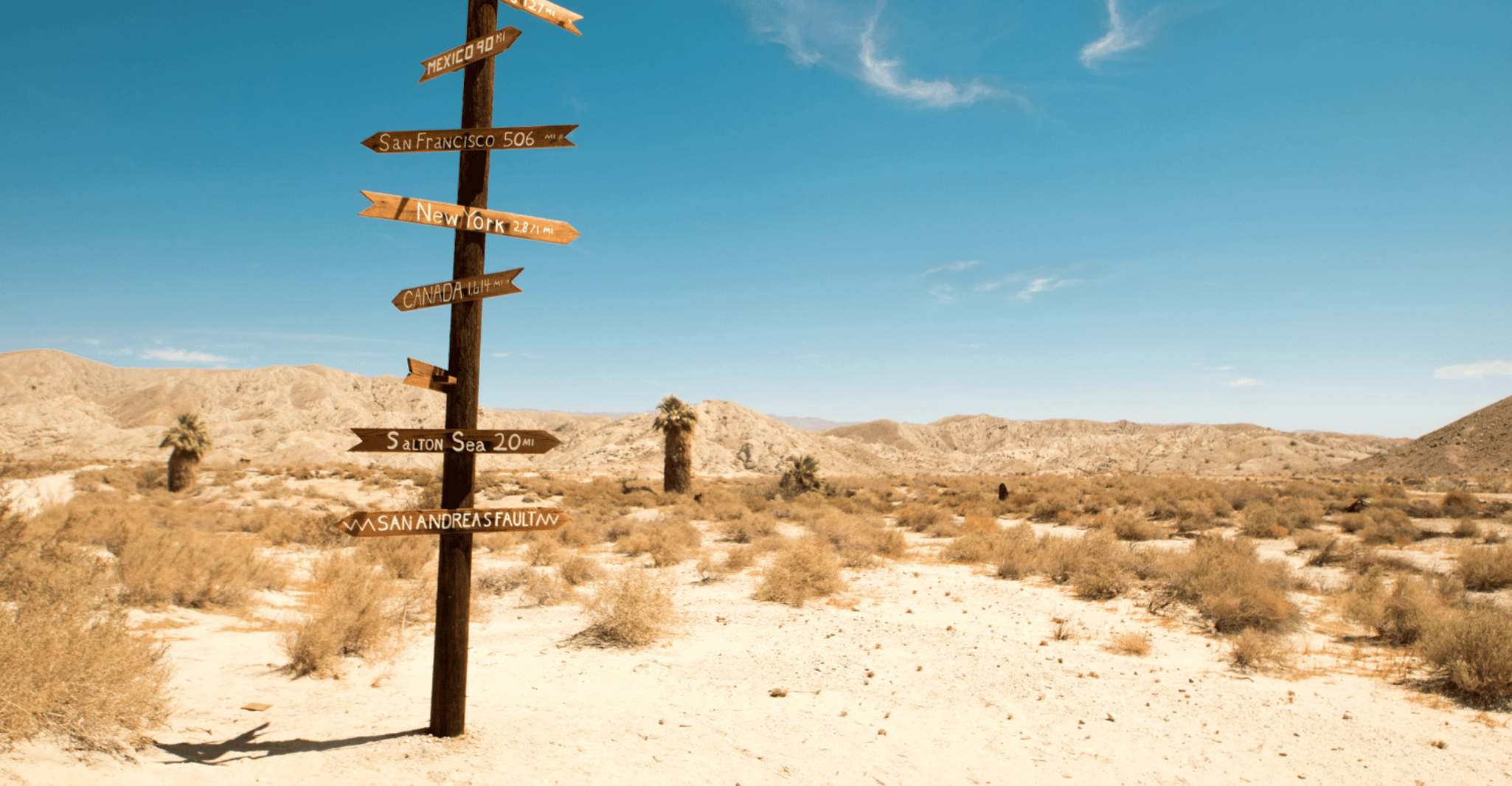 Palm Springs & Joshua Tree, National Park Self-Guided Tours - Housity