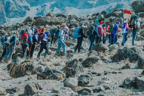 Tanzania: 7-Day Lemosho Route Kilimanjaro Climbing