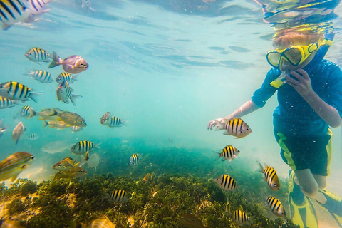 Playa Mantas: Tour guiado de mergulho com snorkel pela manhã perto da praia de JacóPraia Mantas: Tour guiado de mergulho com snorkel pela manhã perto da praia de Jacó