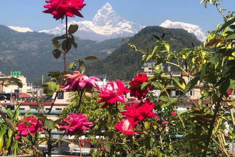 Pokhara: 3-daagse tocht door Astam, Dhampus en Australisch kampPokhara: 3-daags servicepakket