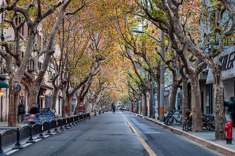 Shanghai: 4h Private City Tour, EN DE FR IT RU Local Guide Shanghai: 4h Private Tour with Italian Local Guide
