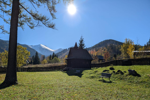 Zakopane Adults-Only Small-Group Tour & Thermal Baths Zakopane Adults-Only Small Group Tour & Thermal Baths
