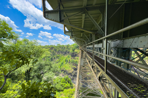 Från Victoria Falls: Historisk bro-tur