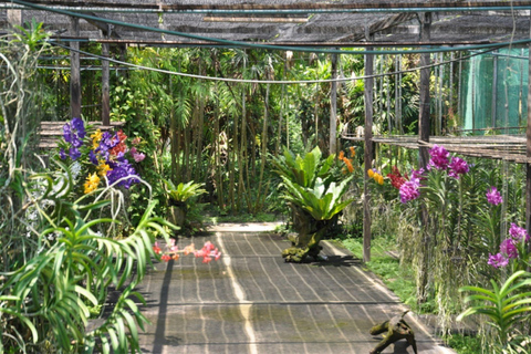 Doi Suthep Tempel, Orchideeën Hoeve &amp; Kleverige Waterval met Lunch