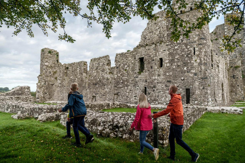 Vanuit Dublin: Keltische Boyne Valley en oude bezienswaardigheden tour