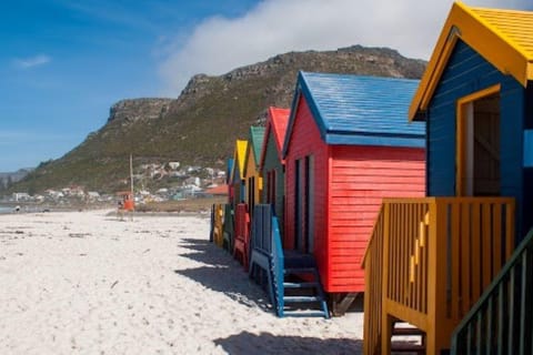 From Cape Town: Full day Cape Atlantic Seaboard village tour