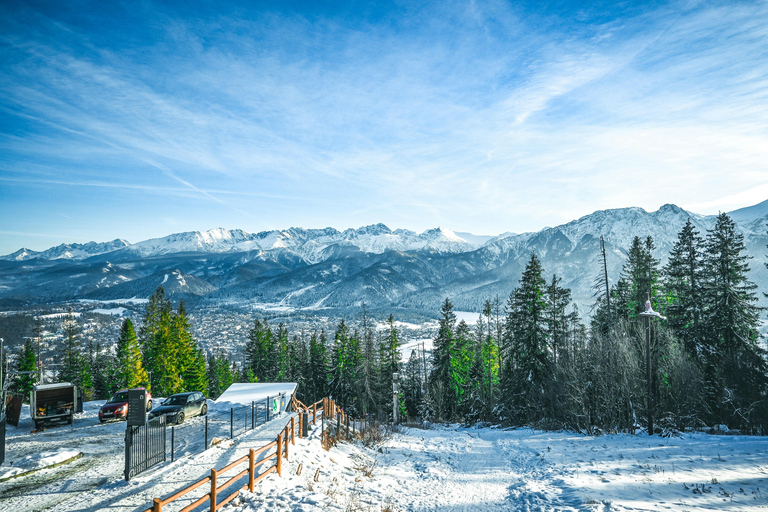 Thermal baths+Zakopane+Cottage+Bonfire+Tasting