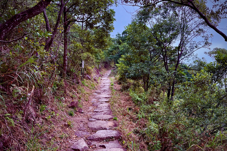 Ma On Shan Ridge & Hunchbacks Advanced Hike (Full Day)