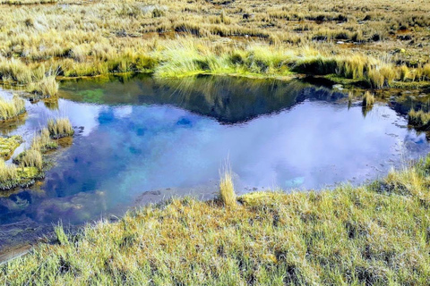 Huaraz: Ganztägig Nevado Pastoruri + Sparkling Waters