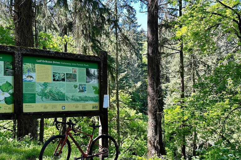 Portland: Forest Park Bike or E-Bike Tour Medium Carbon Gravel Bike (5'7"-5'11" or 170-181cm)