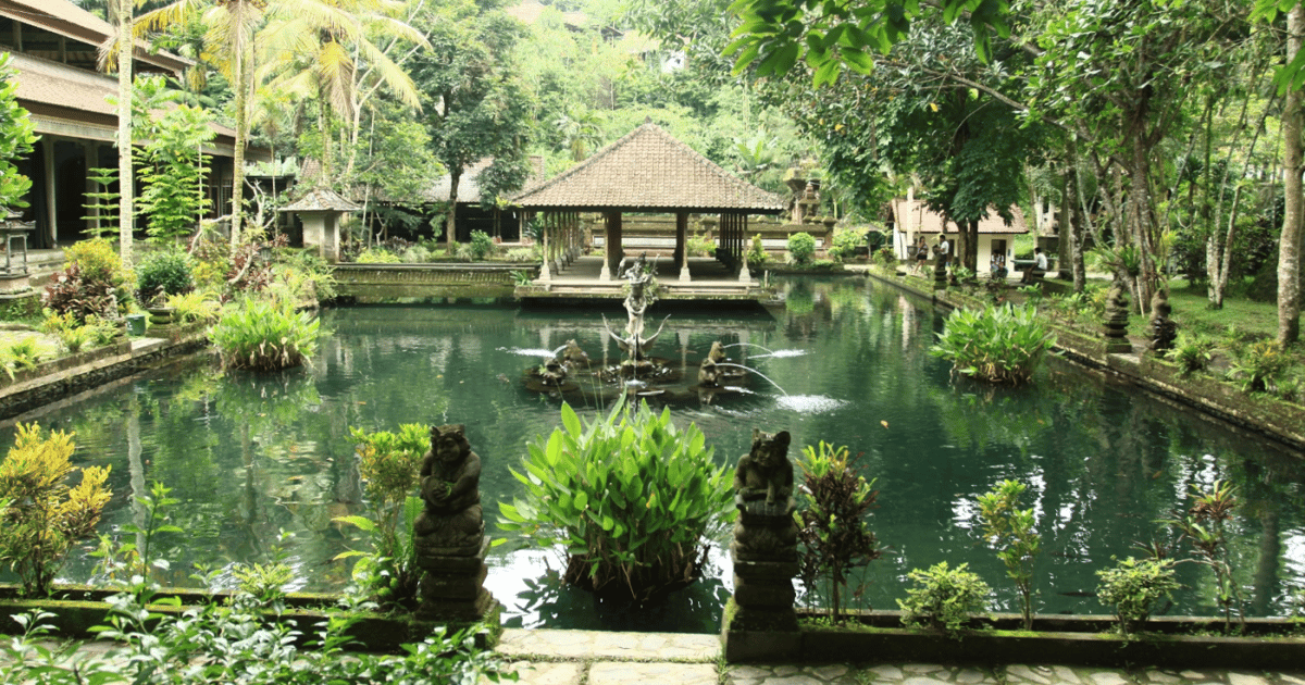 UBUD Excursión a la Cascada la Terraza de Arroz el Templo y el Café