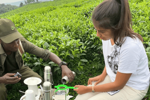 From Kigali: 3-Day Nyungwe Forest National Park Tour