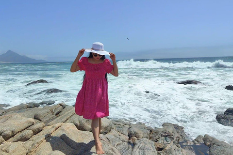 Salalah: Private 5-Day Dhofar Highlights Tour with Guide