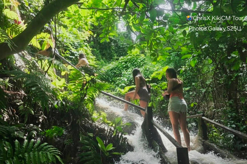 Chiang Mai: Small Group Sticky Falls & Glass Skywalk
