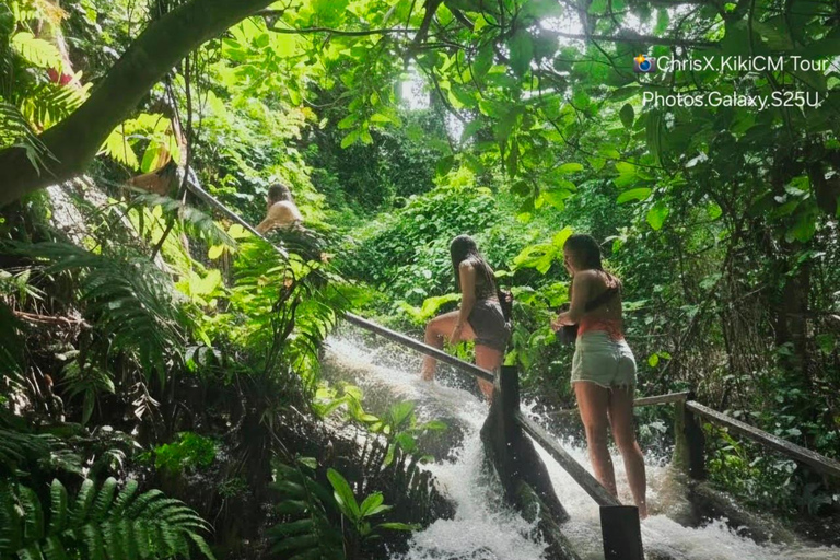 Chiang Mai: Small Group Sticky Falls & Glass Skywalk