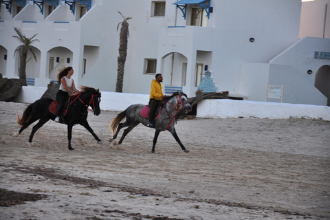 DJERBA : Equitazione privata (2h).