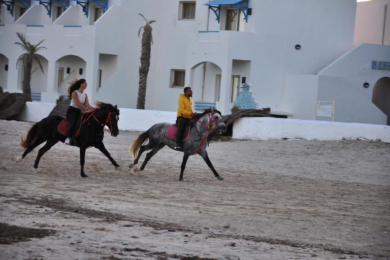 DJERBA : Paseo a caballo privado (2h).