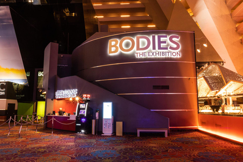 Las Vegas: BODIES | The Exhibition at the Luxor Las Vegas: Luxor Hotel Bodies The Exhibition Entry Ticket