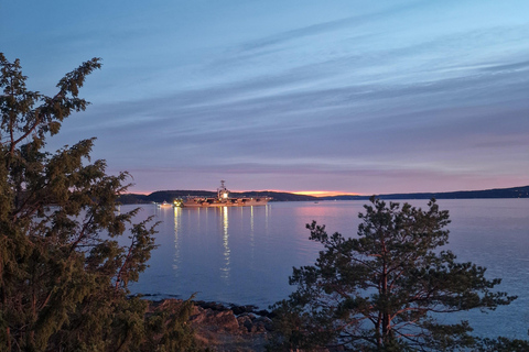 Oslo: Malmøya Island Guided Hike with Waffle and Drink