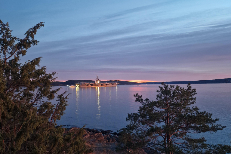 Oslo: Malmøya Island Guided Hike with Waffle and Drink